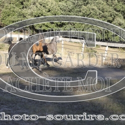 2025-©photo-sourire.com-OPERA-1003