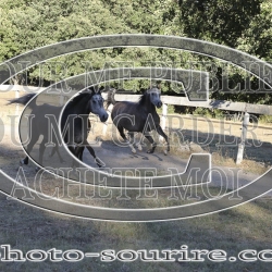 2025-©photo-sourire.com-OPERA-1006