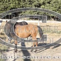 2025-©photo-sourire.com-OPERA-1009