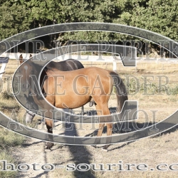 2025-©photo-sourire.com-OPERA-1010