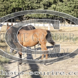 2025-©photo-sourire.com-OPERA-1011