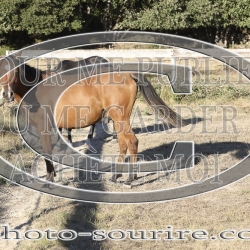 2025-©photo-sourire.com-OPERA-1012