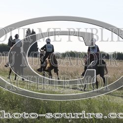2025-©photo-sourire.com-2025-SALIN-DE-GIRAUD-1016