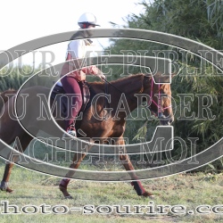 2025-©photo-sourire.com-2025-SALIN-DE-GIRAUD-1029