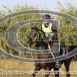 2025-©photo-sourire.com-2025-SALIN-DE-GIRAUD-1036