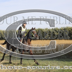 2025-©photo-sourire.com-2025-SALIN-DE-GIRAUD-1042