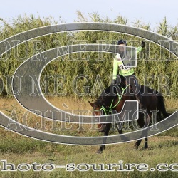 2025-©photo-sourire.com-2025-SALIN-DE-GIRAUD-1061