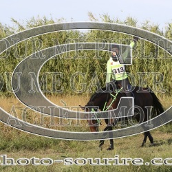 2025-©photo-sourire.com-2025-SALIN-DE-GIRAUD-1062