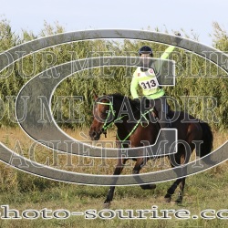 2025-©photo-sourire.com-2025-SALIN-DE-GIRAUD-1063