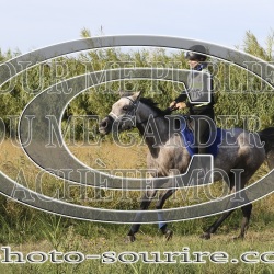 2025-©photo-sourire.com-2025-SALIN-DE-GIRAUD-1079