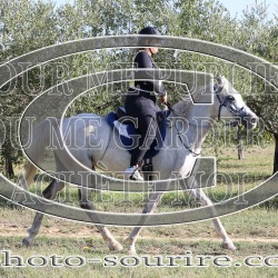 2025-©photo-sourire.com-ST-JEAN-DE-MARUEJOLS-1088