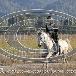 2026-©photo-sourire.com-BLUE-RIDE-5011